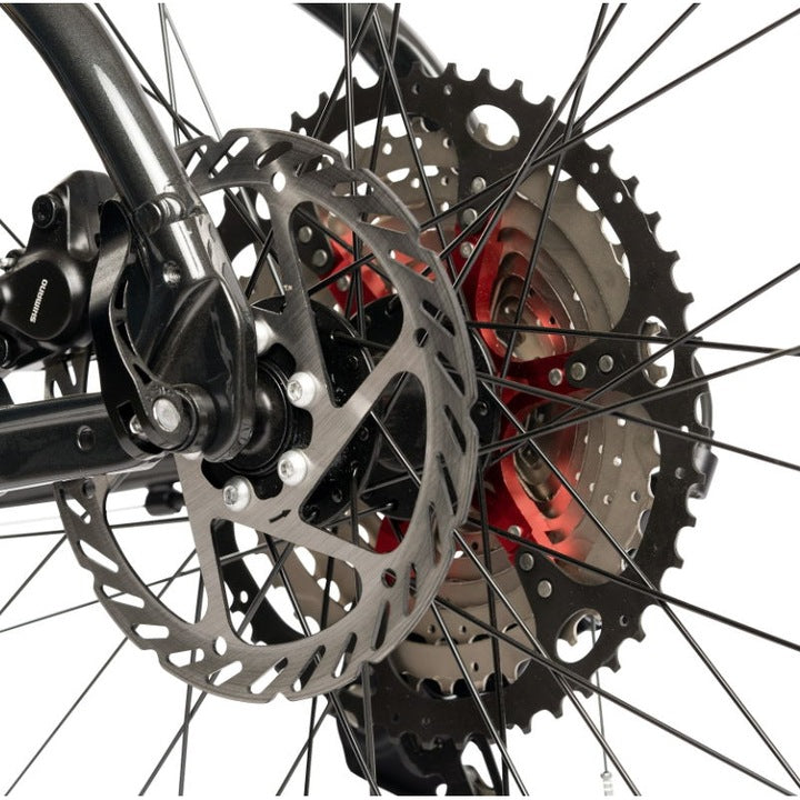 Carpat Pro Trek ST