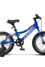 Carpat Airgo