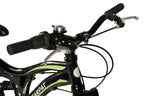 Carpat Alpin