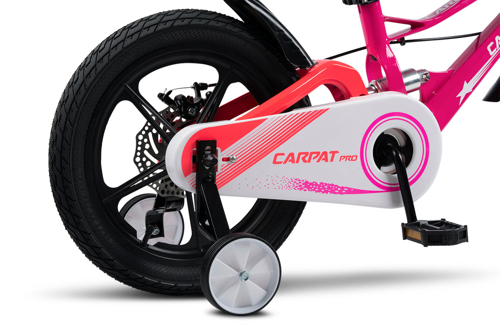Carpat Pro Sport