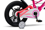 Carpat Pro Sport