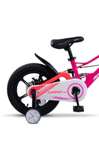 Carpat Pro Sport